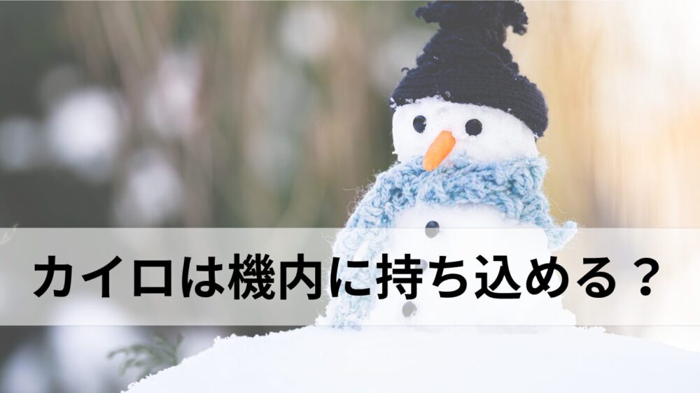 カイロは機内に持ち込める?