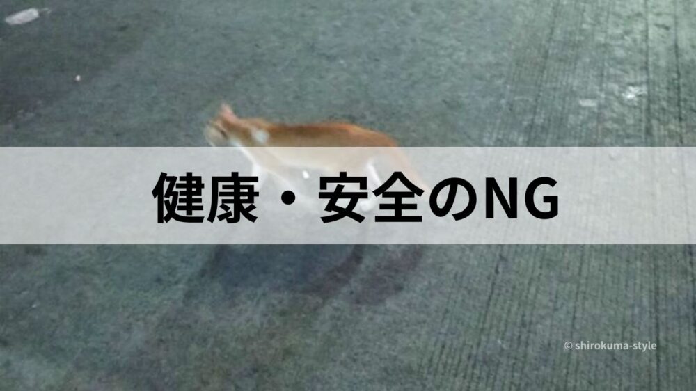 道を歩く痩せた野良猫の画像と健康・安全のNGの文字