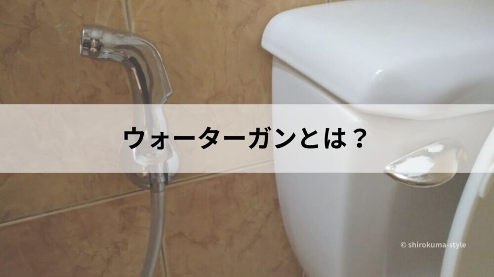 フィリピンのトイレに設置されたウォーターガン｜タンク横のハンドシャワー
